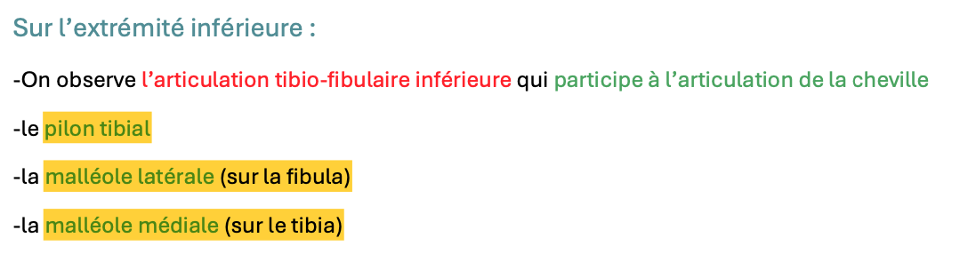 Capture d’écran 2025-03-03 à 12.59.56.png