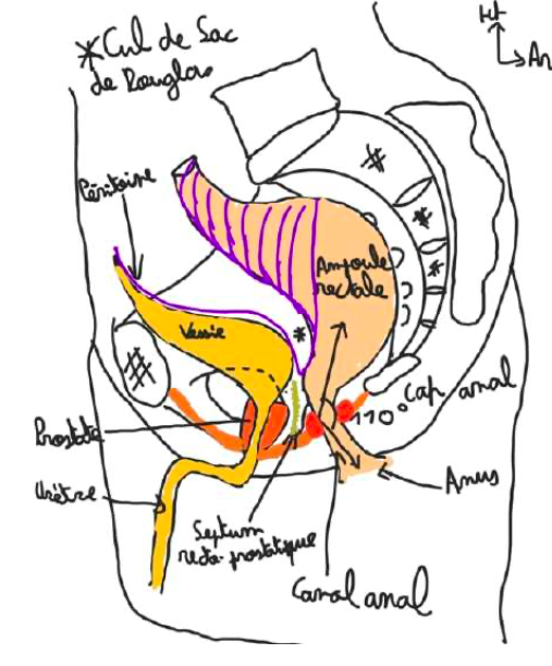 Capture d’écran 2025-03-03 à 17.44.01.png