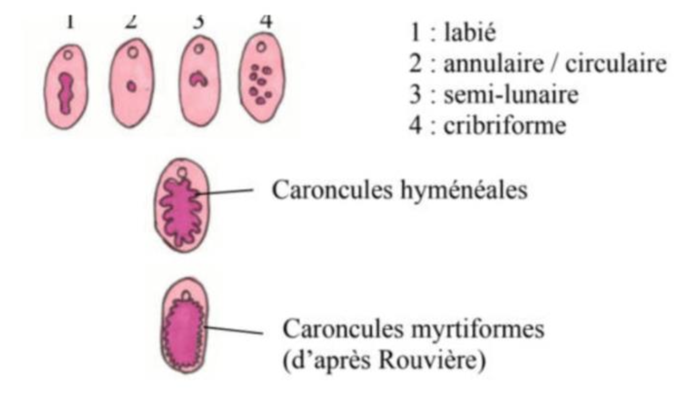 Capture d’écran 2025-03-06 à 09.39.13.png