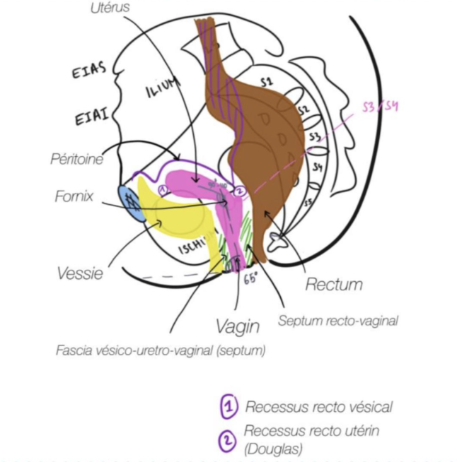 Capture d’écran 2025-03-06 à 09.43.07.png