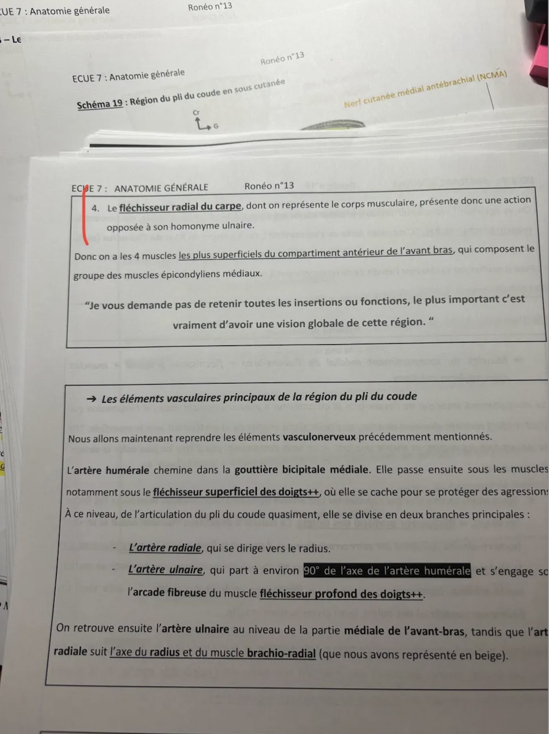 Capture d’écran 2025-03-15 à 13.20.13.png