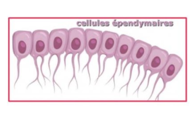 Capture d’écran 2025-03-19 à 12.55.11.jpeg