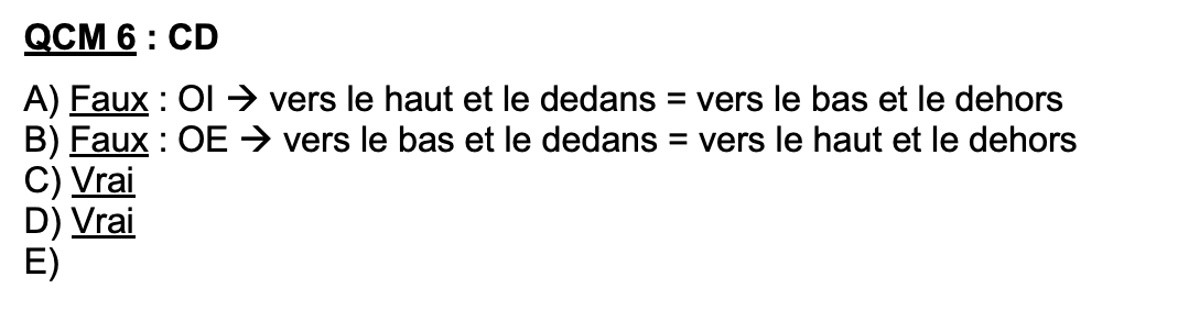 Capture d’écran 2025-03-19 à 17.25.56.png