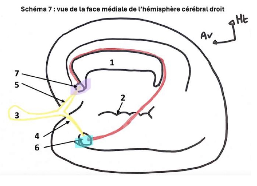 Capture d’écran 2025-03-21 à 10.52.05.jpeg