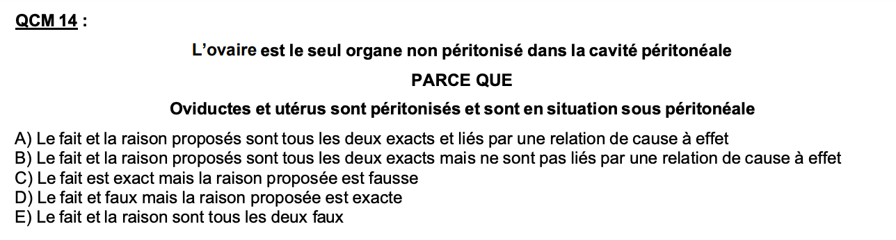 Capture d’écran 2025-03-23 à 13.45.10.png