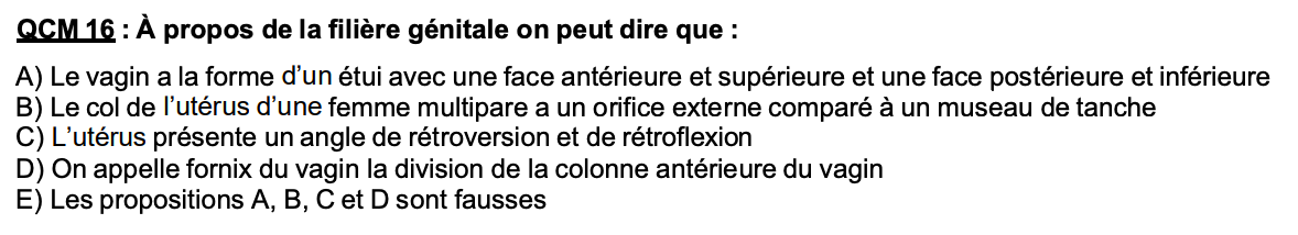 Capture d’écran 2025-03-23 à 13.56.33.png