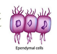 Capture d’écran 2025-03-24 à 18.19.33.png