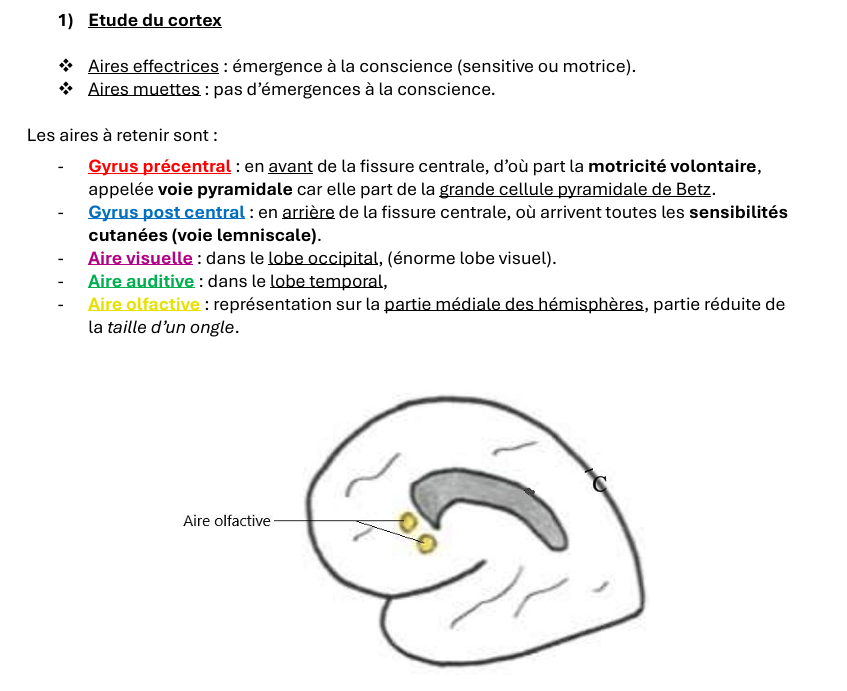 Capture d'écran 2025-04-14 101717.png