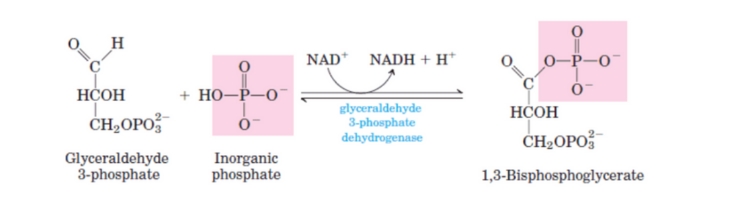 Screenshot 2025-09-02 23.50.27.png