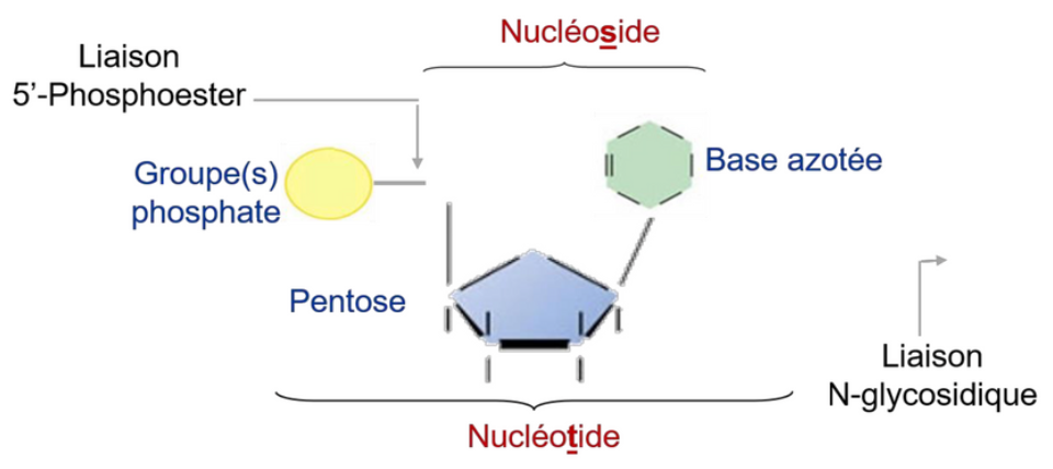 Capture d’écran 2025-09-05 à 16.39.43.png