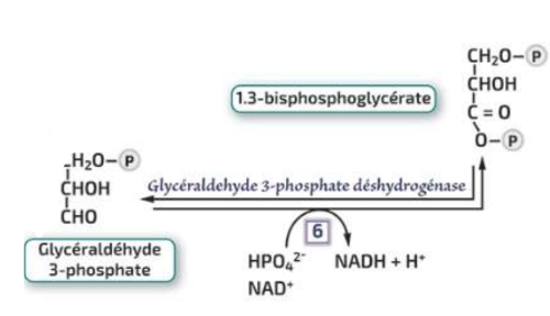 Screenshot 2025-09-09 17.13.34.png