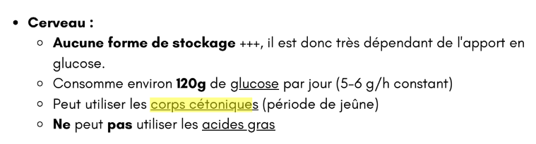 Screenshot 2025-09-11 13.37.13.png