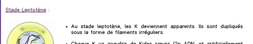 Capture d'écran 2025-09-13 170230.png
