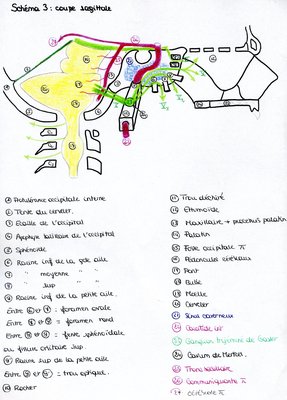 Schéma3.jpg
