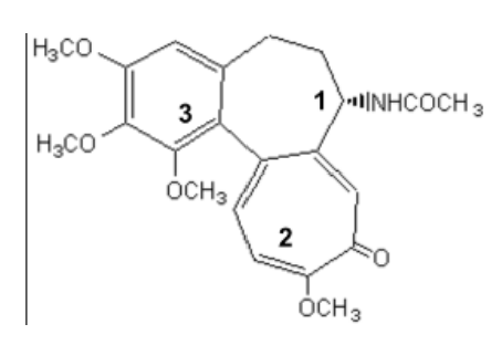 Capture d'écran 2025-09-17 222246.png