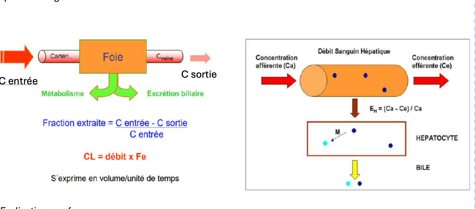 Capture d’écran 2025-09-21 à 01.13.10.png