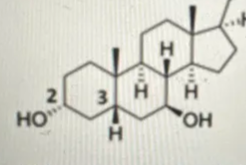 Capture d'écran 2025-09-23 105925.png