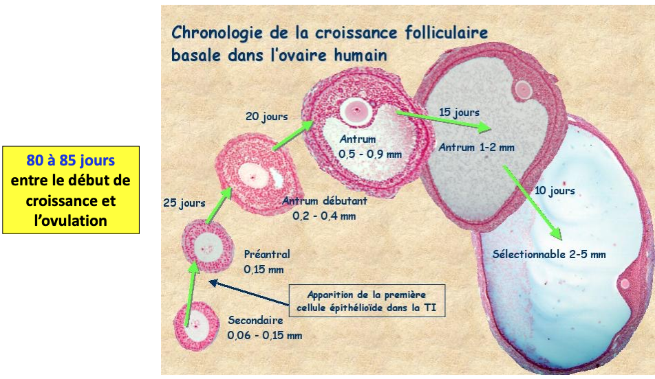 Capture d’écran 2025-09-23 à 20.35.56.png