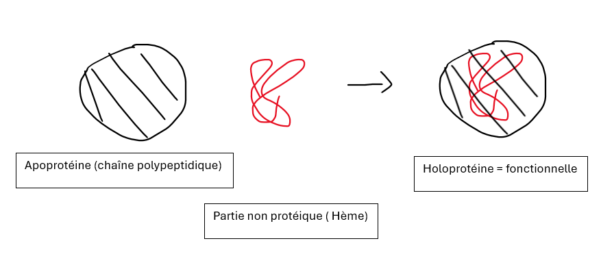 Capture d'écran 2025-09-24 175837.png
