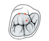 Capture d’écran 2012-05-04 à 17.07.39.png