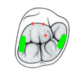 Capture d’écran 2012-05-04 à 17.07.39.png