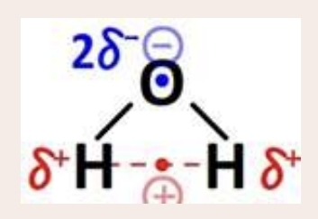 Screenshot_20250926_083358_Samsung Notes.jpg