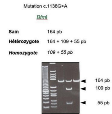 Image manquante ST n°3 QCM 42.jpg