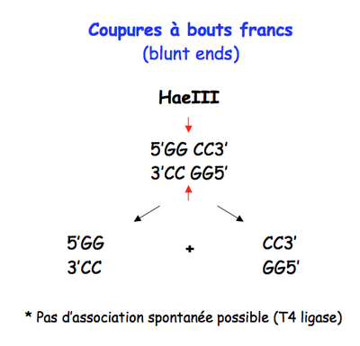 Capture d’écran 2012-05-04 à 18.31.55.png