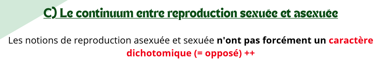 Capture d'écran 2025-10-08 170943.png