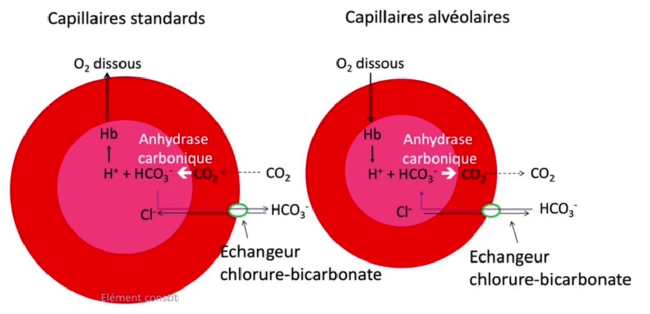 Capture d'écran 2025-10-10 215511.png