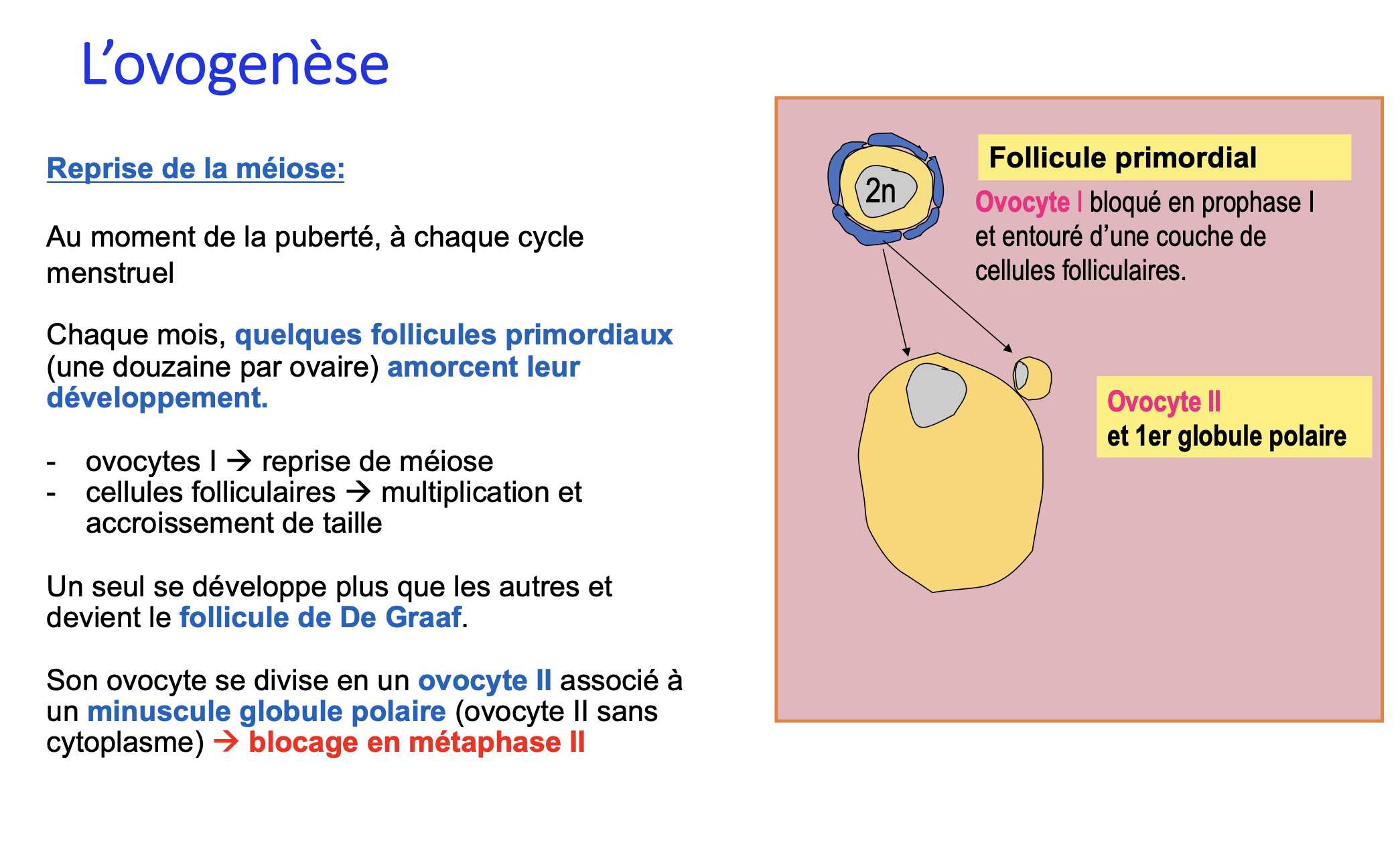Capture d’écran 2025-10-11 à 20.22.31.png