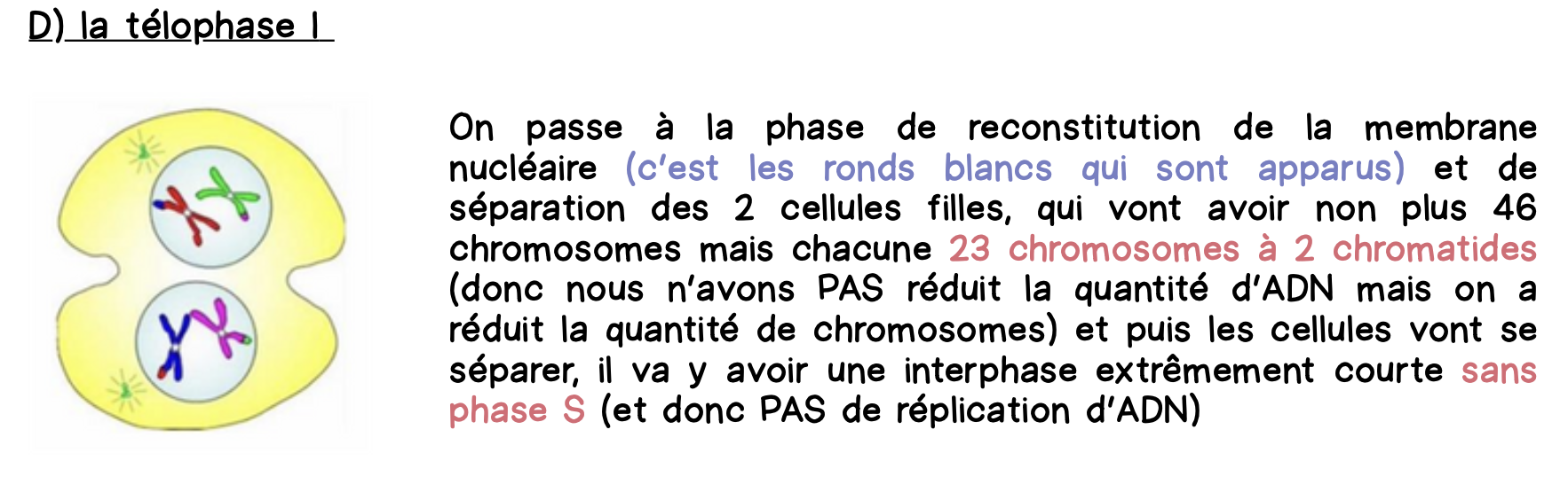 Capture d’écran 2025-10-12 à 06.56.43.png