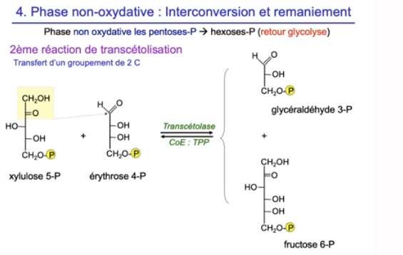 Screenshot 2025-10-14 23.59.21.png