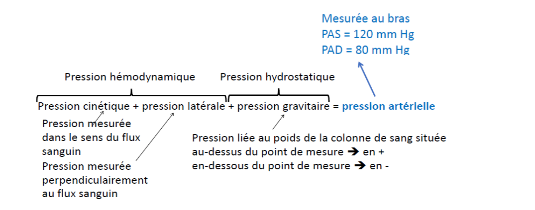 Capture d'écran 2025-10-17 191529.png
