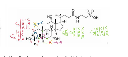 Capture d’écran 2025-10-20 173327.png