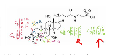 Capture d’écran 2025-10-24 175910.png