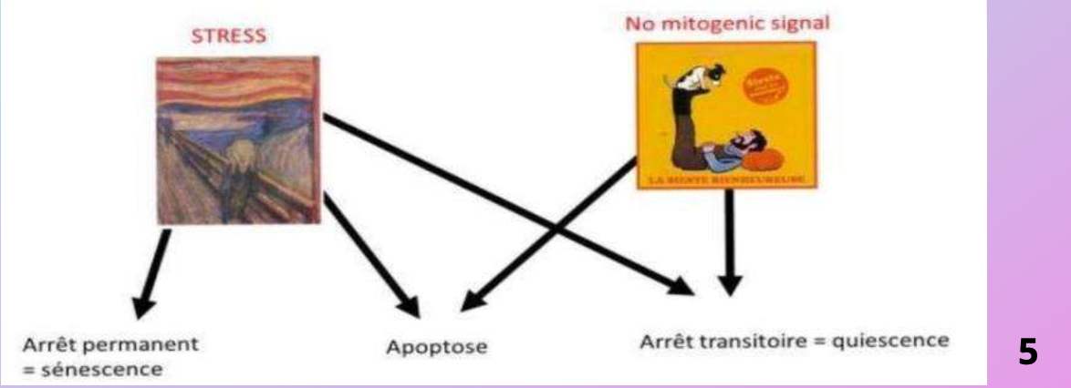 Capture d’écran 2025-10-27 à 14.45.00.png