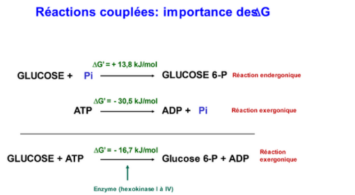 Screenshot 2025-11-01 21.46.10.png