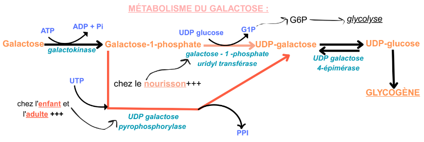 Screenshot 2025-11-01 22.14.53.png