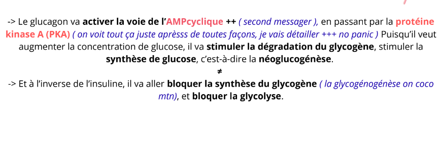 Screenshot 2025-11-01 22.33.16.png