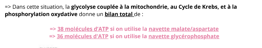 Screenshot 2025-11-01 22.49.32.png