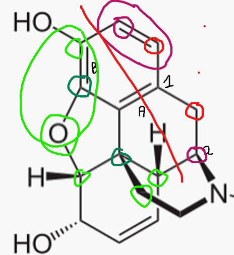 Capture d'écran 2025-11-13 093335.png