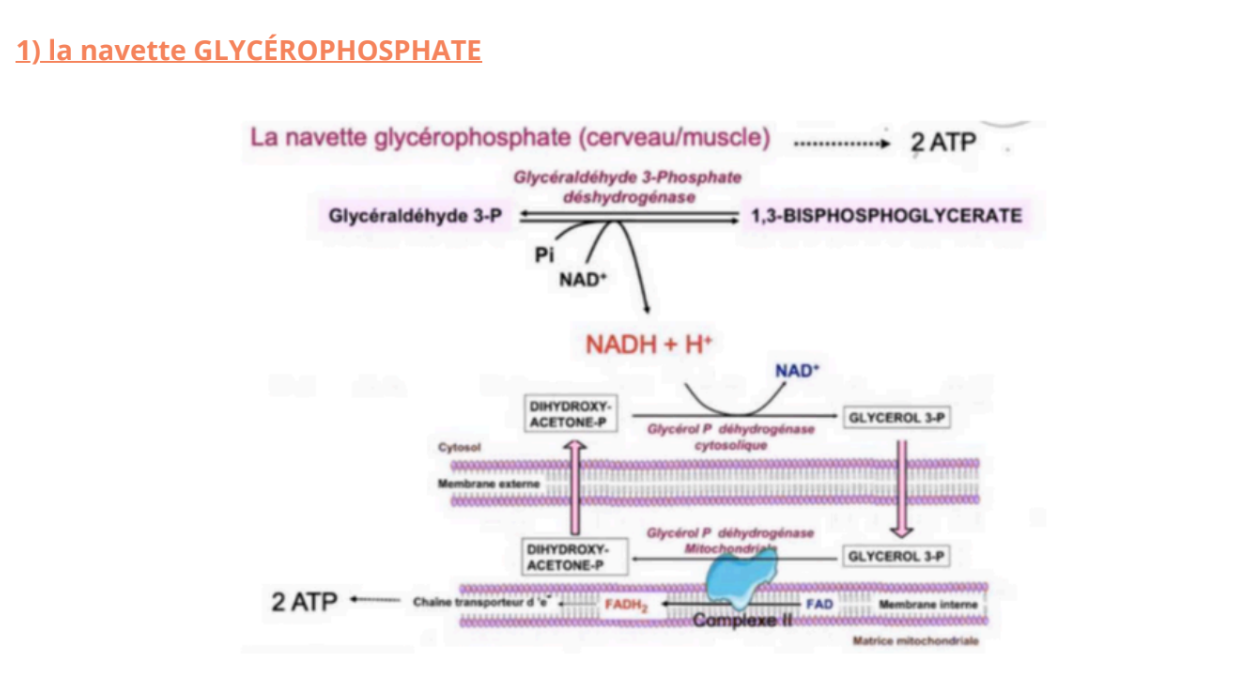 Screenshot 2025-11-15 14.09.34.png