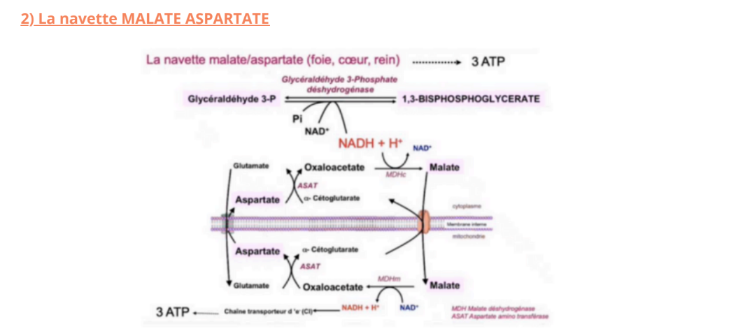 Screenshot 2025-11-15 14.27.32.png