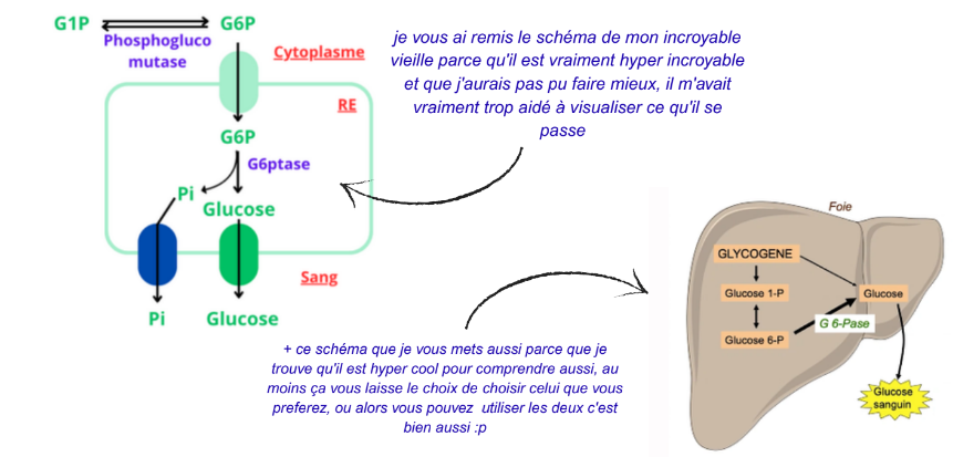 Screenshot 2025-11-15 15.01.36.png