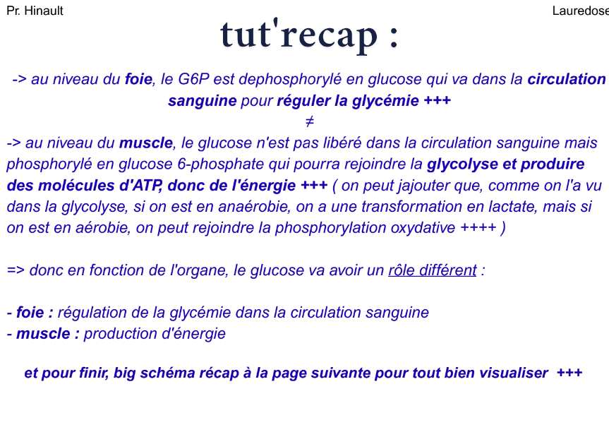 Screenshot 2025-11-15 15.01.45.png