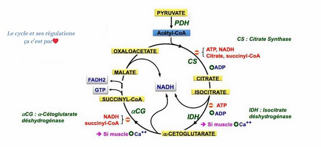 Capture d'écran 2025-11-18 111147.png