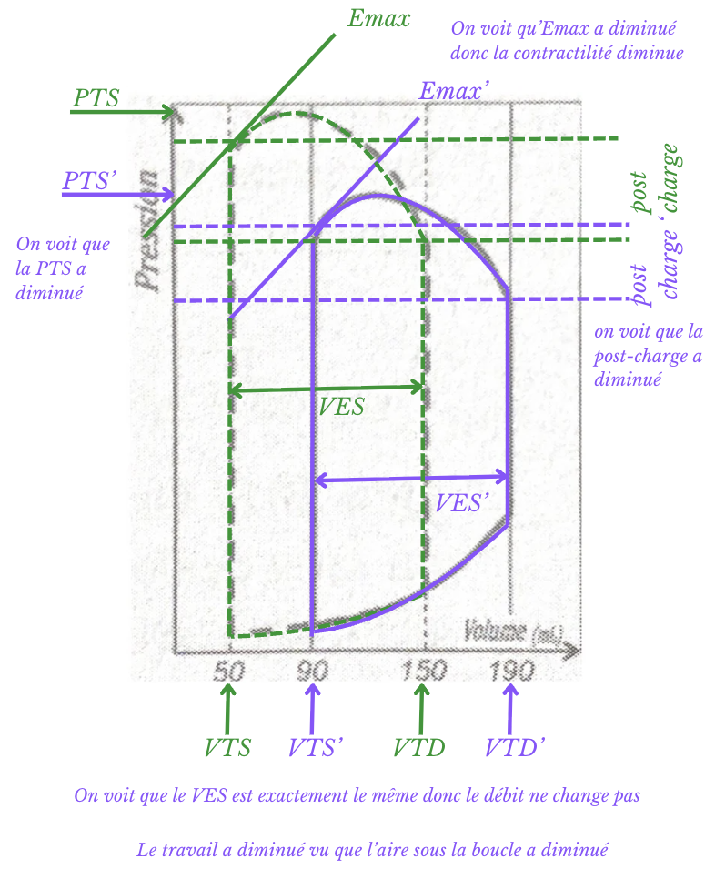 Capture d’écran 2025-11-19 à 23.35.06.png