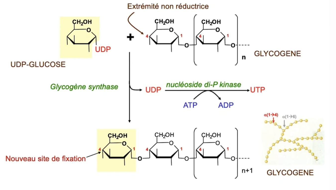 Screenshot 2025-11-23 17.14.46.png