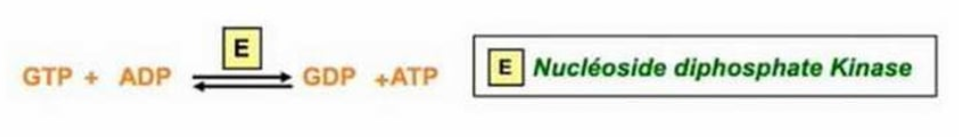 Screenshot 2025-11-23 17.15.00.png